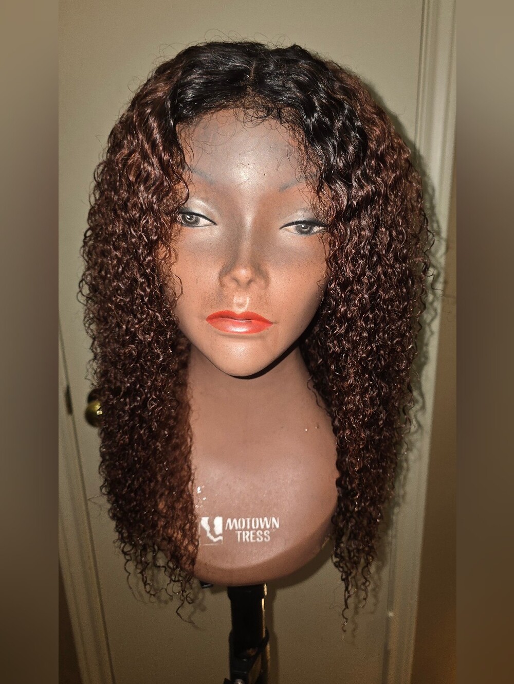 NWOT Curly HH Reddish Brown Lace Front Wig